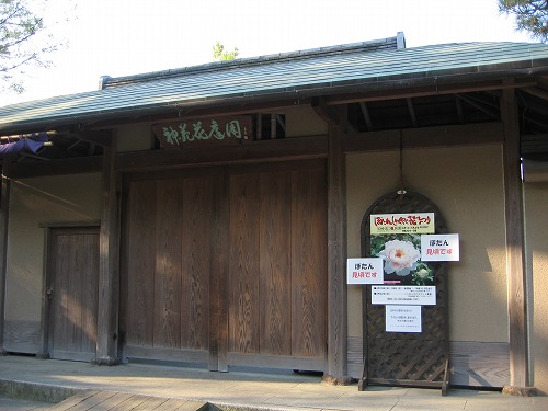 筥崎宮17