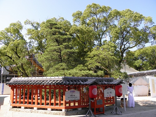 筥崎宮34