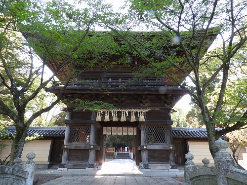 香椎宮24