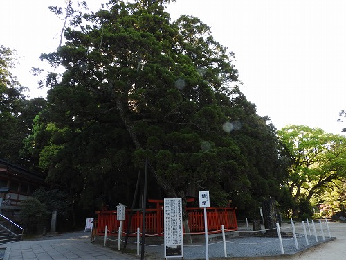 香椎宮32