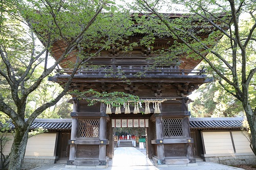 香椎宮6