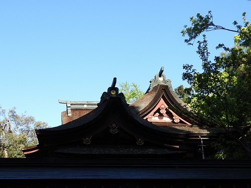 筥崎宮19