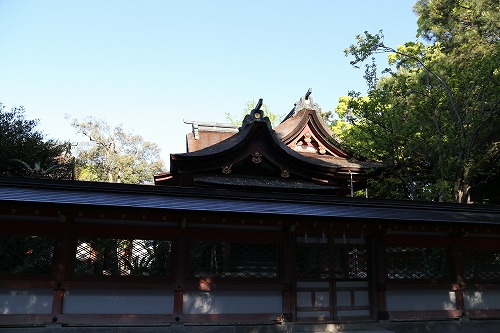 筥崎宮25