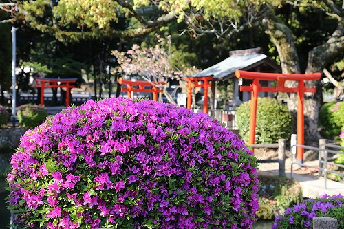 香椎宮15