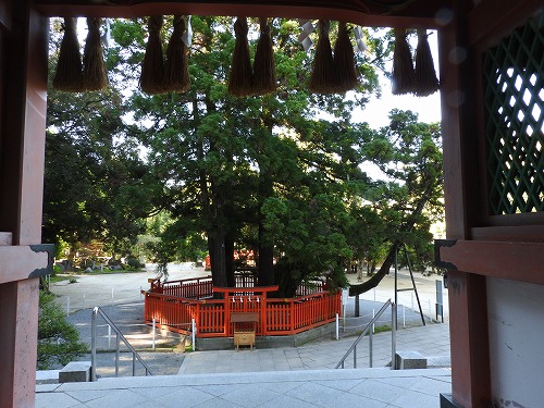 香椎宮12