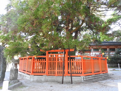 香椎宮14
