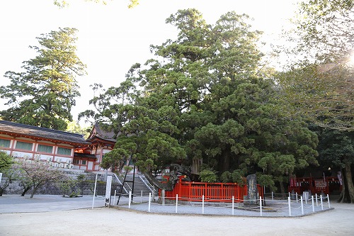 香椎宮8