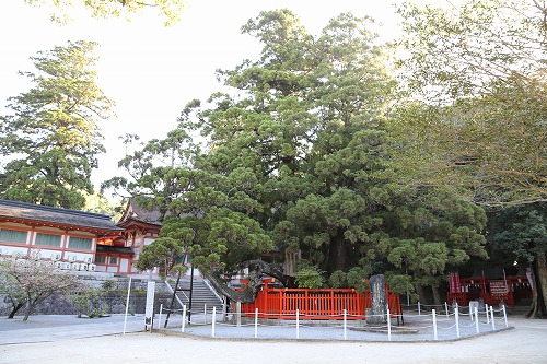 香椎宮9