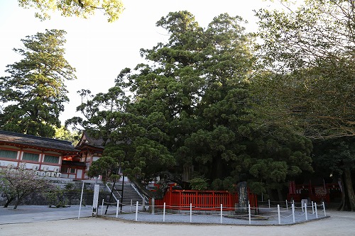 香椎宮10