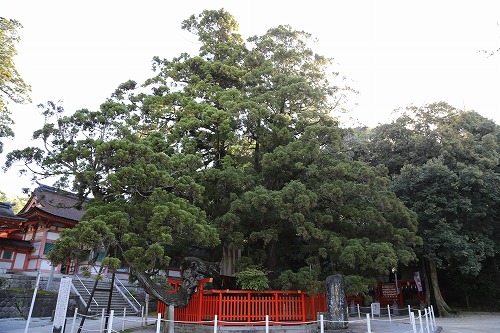 香椎宮11