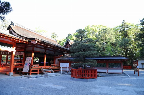 香椎宮5