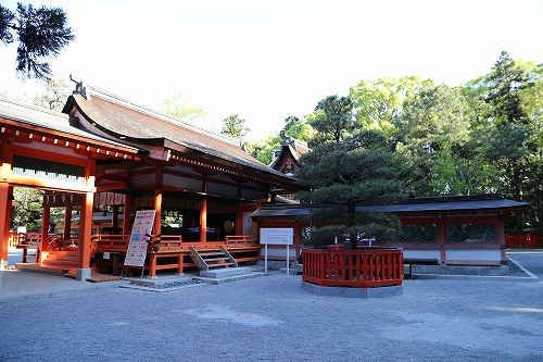 筥崎宮35
