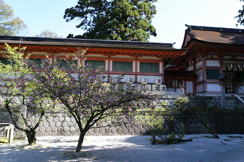筥崎宮31