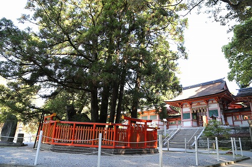香椎宮4