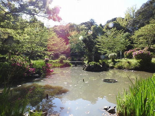 香椎宮1