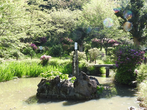 香椎宮3