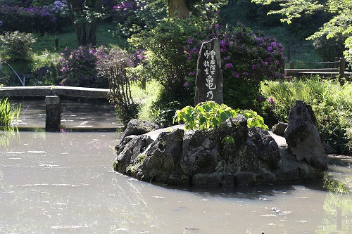 香椎宮5