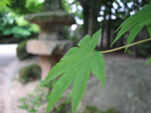 友泉亭2