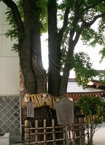 櫛田神社7