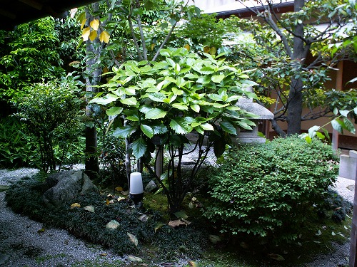 櫛田神社16