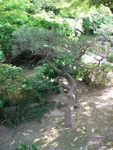 楽水園24