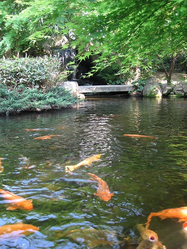 楽水園19