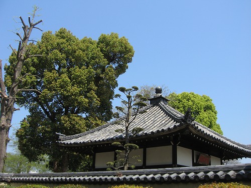 聖福寺25
