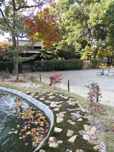 聖福寺31