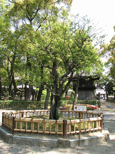 聖福寺28