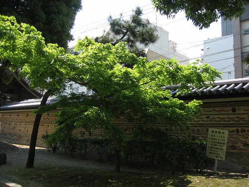 聖福寺17