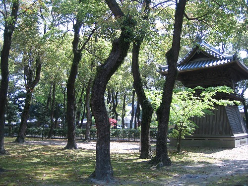 聖福寺20