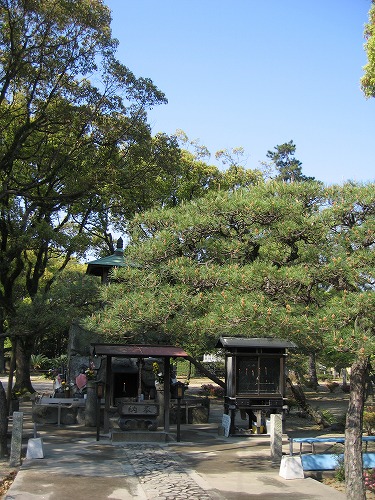 崇福寺19