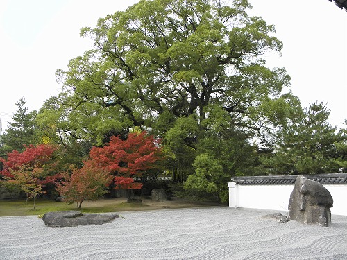 承天寺4