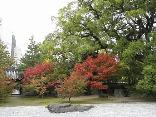 承天寺9