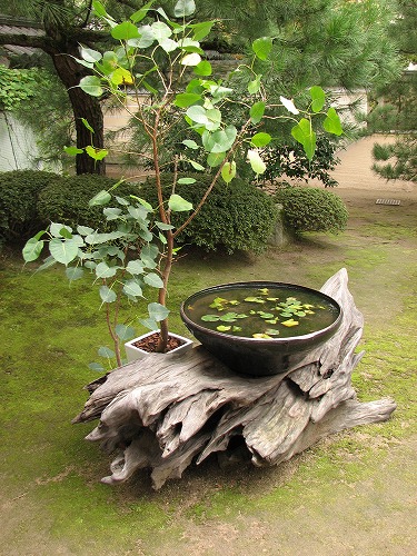 承天寺16