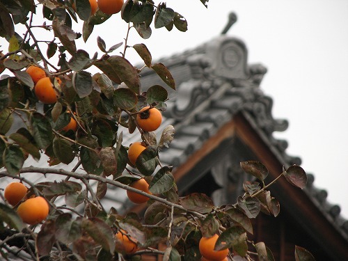 妙楽寺4