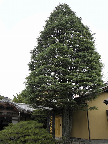 妙楽寺31