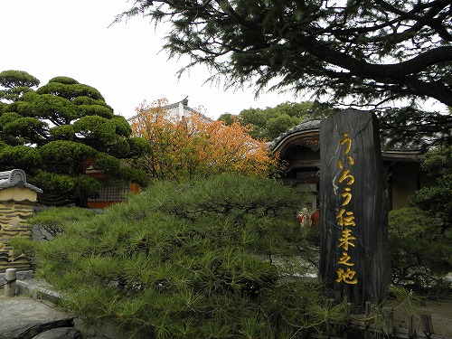 妙楽寺13