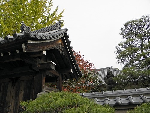 妙楽寺21