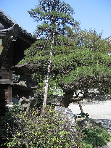 東長寺27