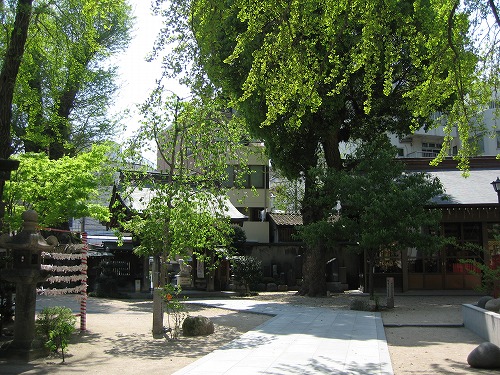 東長寺1
