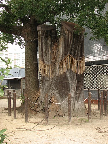若八幡宮10