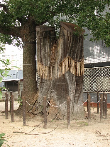 若八幡宮11