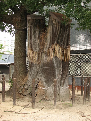 若八幡宮12
