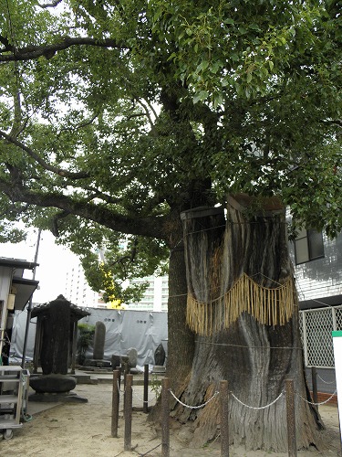 若八幡宮8