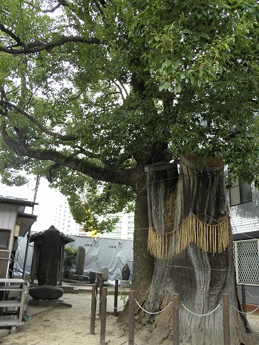 若八幡宮9