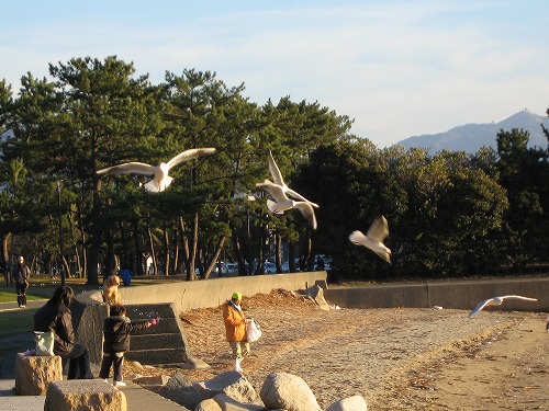 小戸公園6