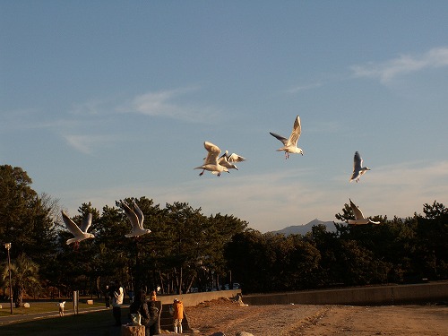 小戸公園12