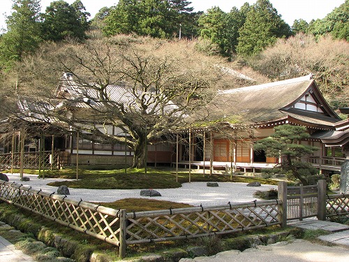 大楓10