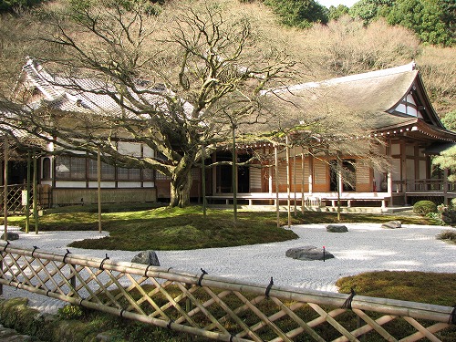 大楓15